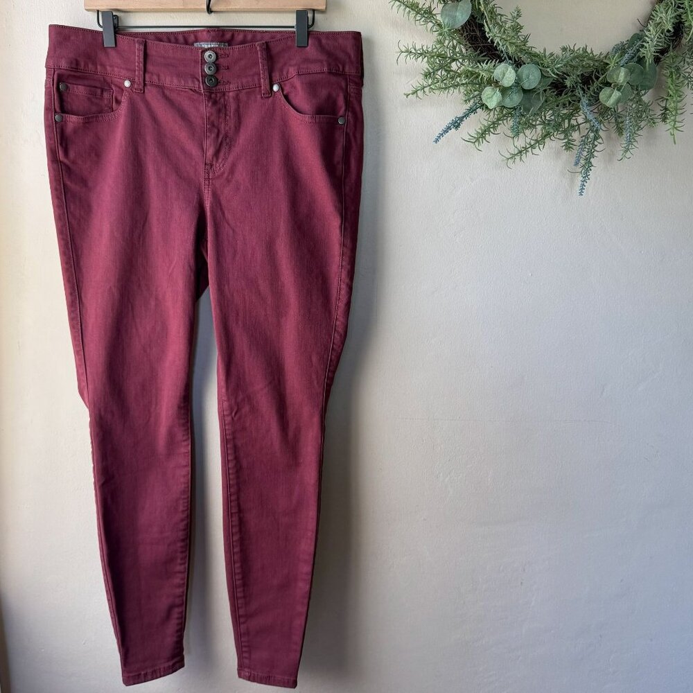Torrid Plum High Rise Jeggings